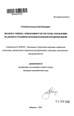 Экспресс-оценка эффективности системы управления малыми и средними промышленными предприятиями - тема автореферата по экономике, скачайте бесплатно автореферат диссертации в экономической библиотеке