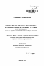 Формирование организационно-экономического механизма управления производством в условиях реструктуризации - тема автореферата по экономике, скачайте бесплатно автореферат диссертации в экономической библиотеке