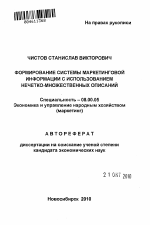 Формирование системы маркетинговой информации с использованием нечетко-множественных описаний - тема автореферата по экономике, скачайте бесплатно автореферат диссертации в экономической библиотеке