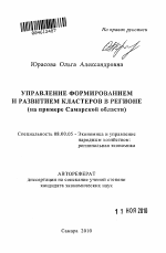 Управление формированием и развитием кластеров в регионе - тема автореферата по экономике, скачайте бесплатно автореферат диссертации в экономической библиотеке