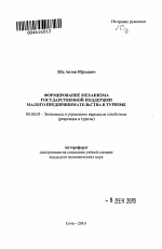 Формирование механизма государственной поддержки малого предпринимательства в туризме - тема автореферата по экономике, скачайте бесплатно автореферат диссертации в экономической библиотеке