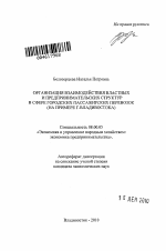 Организация взаимодействия властных и предпринимательских структур в сфере городских пассажирских перевозок - тема автореферата по экономике, скачайте бесплатно автореферат диссертации в экономической библиотеке