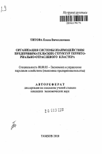 Организация системы взаимодействия предпринимательских структур территориально-отраслевого кластера - тема автореферата по экономике, скачайте бесплатно автореферат диссертации в экономической библиотеке
