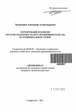 Формирование и развитие системы поддержки малого предпринимательства на муниципальном уровне - тема автореферата по экономике, скачайте бесплатно автореферат диссертации в экономической библиотеке