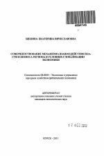 Совершенствование механизма взаимодействия власти и бизнеса региона в условиях глобализации экономики - тема автореферата по экономике, скачайте бесплатно автореферат диссертации в экономической библиотеке