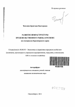 Развитие инфраструктуры продовольственного рынка в регионе - тема автореферата по экономике, скачайте бесплатно автореферат диссертации в экономической библиотеке