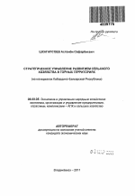 Стратегическое управление развитием сельского хозяйства в горных территориях - тема автореферата по экономике, скачайте бесплатно автореферат диссертации в экономической библиотеке
