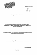 Организационно-экономический механизм микроресурсной поддержки развития субъектов малого бизнеса - тема автореферата по экономике, скачайте бесплатно автореферат диссертации в экономической библиотеке