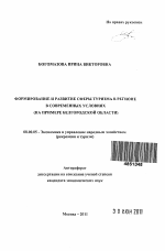 Формирование и развитие сферы туризма в регионе в современных условиях - тема автореферата по экономике, скачайте бесплатно автореферат диссертации в экономической библиотеке