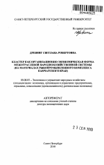 Кластер как организационно-экономическая форма межотраслевой народнохозяйственной системы - тема автореферата по экономике, скачайте бесплатно автореферат диссертации в экономической библиотеке