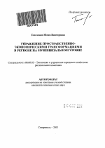 Управление пространственно-экономическими трансформациями в регионе на муниципальном уровне - тема автореферата по экономике, скачайте бесплатно автореферат диссертации в экономической библиотеке