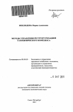 Методы управления реструктуризацией газохимического комплекса - тема автореферата по экономике, скачайте бесплатно автореферат диссертации в экономической библиотеке