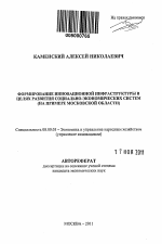 Формирование инновационной инфраструктуры в целях развития социально-экономических систем - тема автореферата по экономике, скачайте бесплатно автореферат диссертации в экономической библиотеке