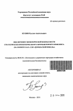 Обеспечение экономической безопасности стратегически ориентированного промышленного комплекса - тема автореферата по экономике, скачайте бесплатно автореферат диссертации в экономической библиотеке
