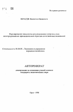 Формирование механизма регулирования в вертикально интегрированных промышленных отраслях естественных монополий - тема автореферата по экономике, скачайте бесплатно автореферат диссертации в экономической библиотеке