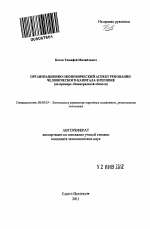 Организационно-экономический аспект реновации человеческого капитала в регионе - тема автореферата по экономике, скачайте бесплатно автореферат диссертации в экономической библиотеке