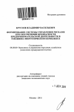 Формирование системы управления рисками при обеспечении безопасности предпринимательской деятельности в топливно-энергетическом комплексе - тема автореферата по экономике, скачайте бесплатно автореферат диссертации в экономической библиотеке