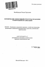 Формирование эффективной структуры управления строительной организацией - тема автореферата по экономике, скачайте бесплатно автореферат диссертации в экономической библиотеке