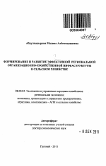 Формирование и развитие эффективной региональной организационно-хозяйственной инфраструктуры в сельском хозяйстве - тема автореферата по экономике, скачайте бесплатно автореферат диссертации в экономической библиотеке