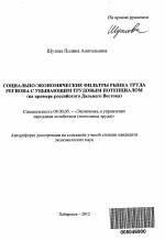 Социально-экономические фильтры рынка труда региона с убывающим трудовым потенциалом - тема автореферата по экономике, скачайте бесплатно автореферат диссертации в экономической библиотеке