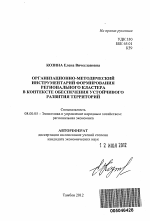 Организационно-методический инструментарий формирования регионального кластера в контексте обеспечения устойчивого развития территорий - тема автореферата по экономике, скачайте бесплатно автореферат диссертации в экономической библиотеке