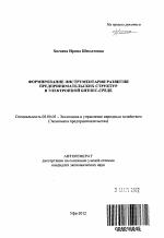 Формирование инструментария развития предпринимательских структур в электронной бизнес-среде - тема автореферата по экономике, скачайте бесплатно автореферат диссертации в экономической библиотеке