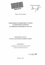 Эффективность бюджетных расходов: планирование и контроль - тема автореферата по экономике, скачайте бесплатно автореферат диссертации в экономической библиотеке