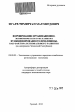 Формирование организационно-экономического механизма функционирования телемедицины, как фактора регионального развития - тема автореферата по экономике, скачайте бесплатно автореферат диссертации в экономической библиотеке