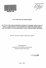 Реструктуризация функциональных расходных обязательств фонда социального страхования Российской Федерации и обеспечение сбалансированности его финансовых потоков - тема автореферата по экономике, скачайте бесплатно автореферат диссертации в экономической библиотеке