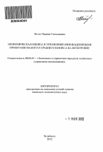 Экономическая оценка и управление инновационными проектами малого и среднего бизнеса на мезоуровне - тема автореферата по экономике, скачайте бесплатно автореферат диссертации в экономической библиотеке