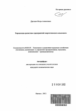 Управление развитием предприятий энергетического комплекса - тема автореферата по экономике, скачайте бесплатно автореферат диссертации в экономической библиотеке