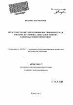 Пространственно-локализованная экономическая система в условиях адаптации региона к вызовам новой экономики - тема автореферата по экономике, скачайте бесплатно автореферат диссертации в экономической библиотеке