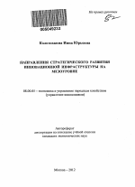 Направления стратегического развития инновационной инфраструктуры на мезоуровне - тема автореферата по экономике, скачайте бесплатно автореферат диссертации в экономической библиотеке