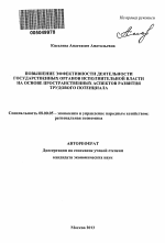 Повышение эффективности деятельности государственных органов исполнительной власти на основе пространственных аспектов развития трудового потенциала - тема автореферата по экономике, скачайте бесплатно автореферат диссертации в экономической библиотеке