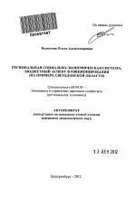 Региональная социально-экономическая система: бюджетный аспект функционирования - тема автореферата по экономике, скачайте бесплатно автореферат диссертации в экономической библиотеке