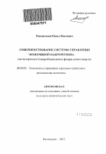 Совершенствование системы управления экономикой макрорегиона - тема автореферата по экономике, скачайте бесплатно автореферат диссертации в экономической библиотеке