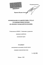 Формирование и развитие рынка труда в трудоизбыточном регионе - тема автореферата по экономике, скачайте бесплатно автореферат диссертации в экономической библиотеке