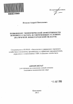 Повышение экономической эффективности зернового сектора в современных условиях - тема автореферата по экономике, скачайте бесплатно автореферат диссертации в экономической библиотеке