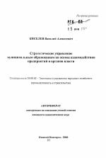 Стратегическое управление муниципальным образованием на основе взаимодействия предприятий и органов власти - тема автореферата по экономике, скачайте бесплатно автореферат диссертации в экономической библиотеке