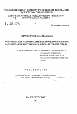 Формирование механизма муниципального управления на уровне административного района крупного города - тема автореферата по экономике, скачайте бесплатно автореферат диссертации в экономической библиотеке