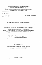 Организационно-методические основы создания многопрофильных консалтинговых центров для поддержки предпринимательства в регионах - тема автореферата по экономике, скачайте бесплатно автореферат диссертации в экономической библиотеке