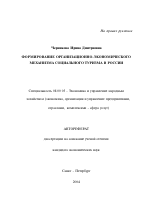 Формирование организационно-экономического механизма социального туризма в России - тема автореферата по экономике, скачайте бесплатно автореферат диссертации в экономической библиотеке