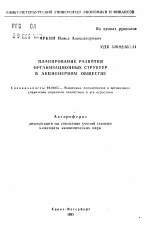 Планирование развития организационных структур в акционерном обществе - тема автореферата по экономике, скачайте бесплатно автореферат диссертации в экономической библиотеке