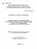 ЭФФЕКТИВНОСТЬ ОВЦЕВОДСТВА В УСЛОВИЯХ ОРОШАЕМОГО ЗЕМЛЕДЕЛИЯ И ПУТИ ЕЕ ПОВЫШЕНИЯ (НА ПРИМЕРЕ ХОЗЯЙСТВ ХЕРСОНСКОЙ ОБЛАСТИ) - тема автореферата по экономике, скачайте бесплатно автореферат диссертации в экономической библиотеке