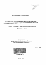 Повышение эффективности использования рекреационных ресурсов в гостиничном бизнесе - тема автореферата по экономике, скачайте бесплатно автореферат диссертации в экономической библиотеке