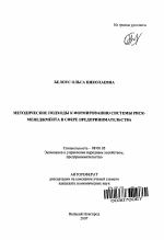 Методические подходы к формированию системы риск-менеджмента в сфере предпринимательства - тема автореферата по экономике, скачайте бесплатно автореферат диссертации в экономической библиотеке