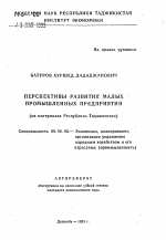 Перспективы развития малых промышленных предприятий (на материалах Республики Таджикистан) - тема автореферата по экономике, скачайте бесплатно автореферат диссертации в экономической библиотеке