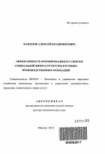 Эффективность формирования и развития социальной инфраструктуры крупных производственных компаний - тема автореферата по экономике, скачайте бесплатно автореферат диссертации в экономической библиотеке