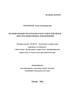 Формирование программы работ многопрофильных промышленных предприятий - тема автореферата по экономике, скачайте бесплатно автореферат диссертации в экономической библиотеке