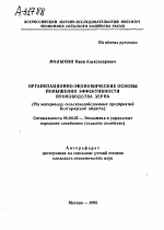 ОРГАНИЗАЦИОННО-ЭКОНОМИЧЕСКИЕ ОСНОВЫ ПОВЫШЕНИЯ ЭФФЕКТИВНОСТИ ПРОИЗВОДСТВА ЗЕРНА (НА МАТЕРИАЛАХ СЕЛЬСКОХОЗЯЙСТВЕННЫХ ПРЕДПРИЯТИЙ БЕЛГОРОДСКОЙ ОБЛАСТИ) - тема автореферата по экономике, скачайте бесплатно автореферат диссертации в экономической библиотеке